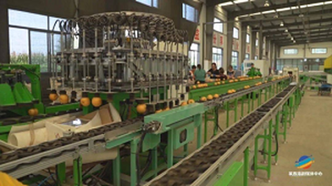 Prvi forum usluge standardizacije podrijetla voća