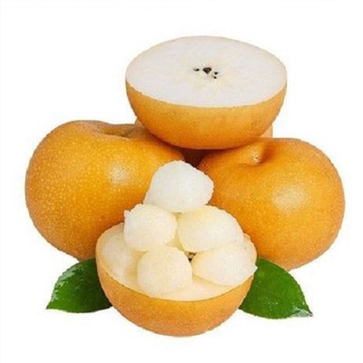 Azijska kruška Qiuyue